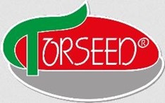 Torseed